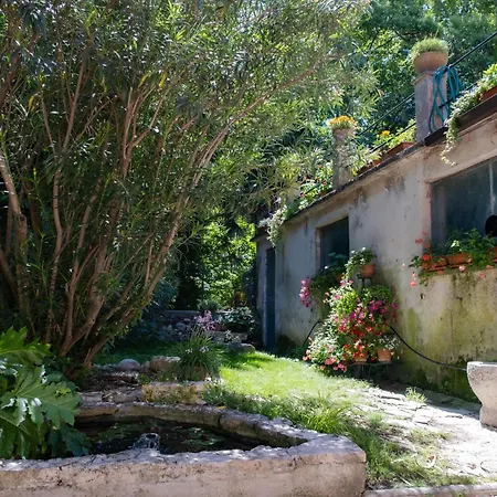 Tidami * Bardolino